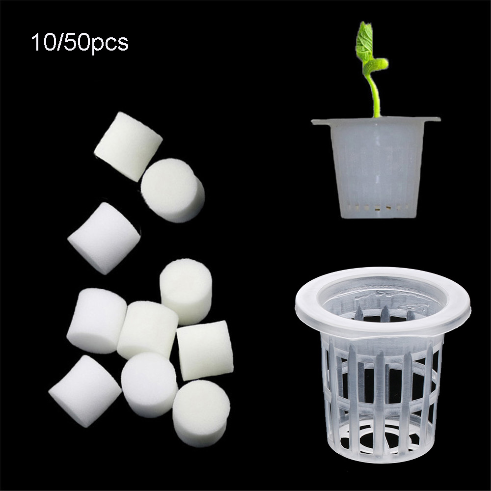 Aquarium Planted Seeds - 10/50pcs Durable Planting Aquarium Soilless Hydroponic