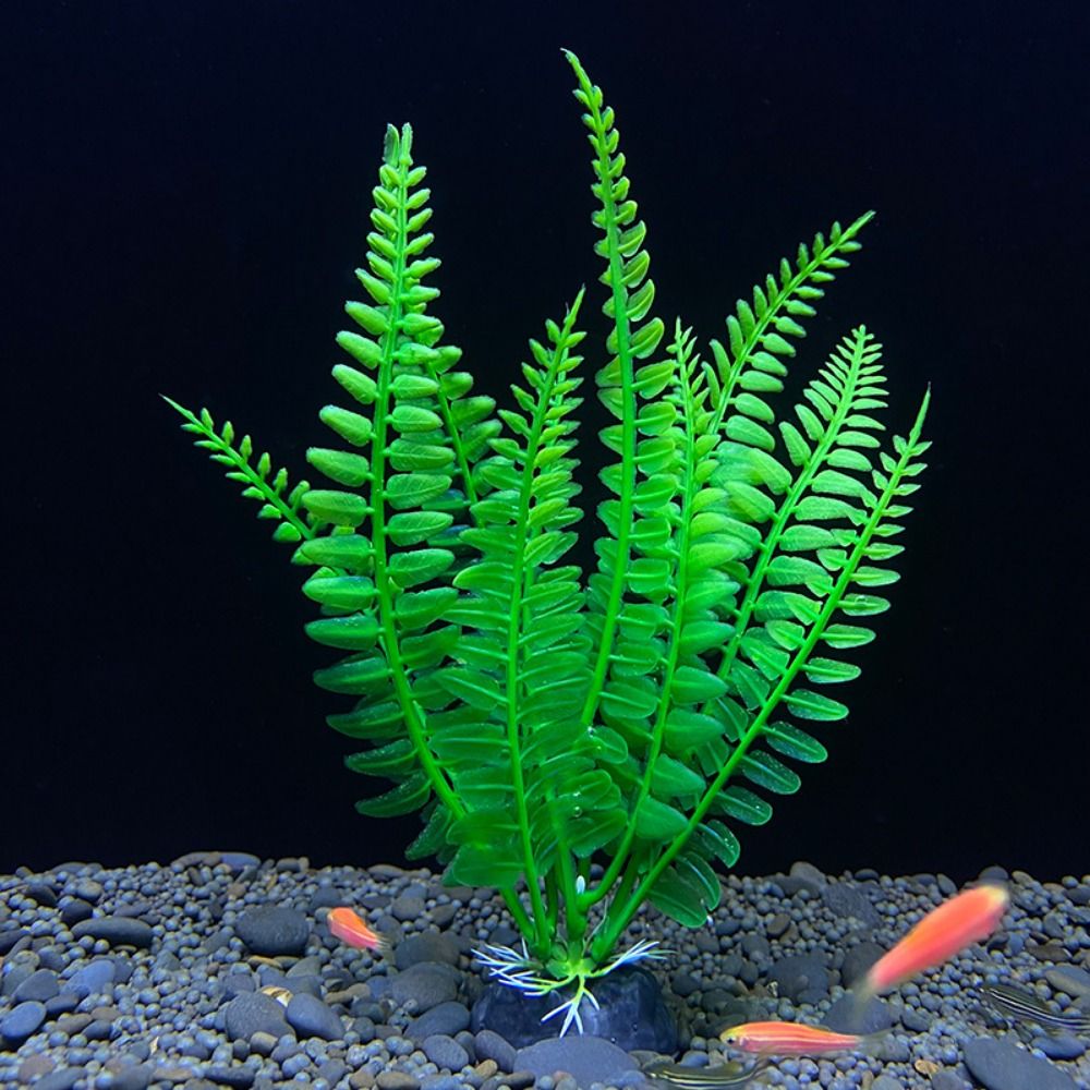 Fish Tank Ornament Plant Aquar - Planted Aquarium Bowl recension och pris