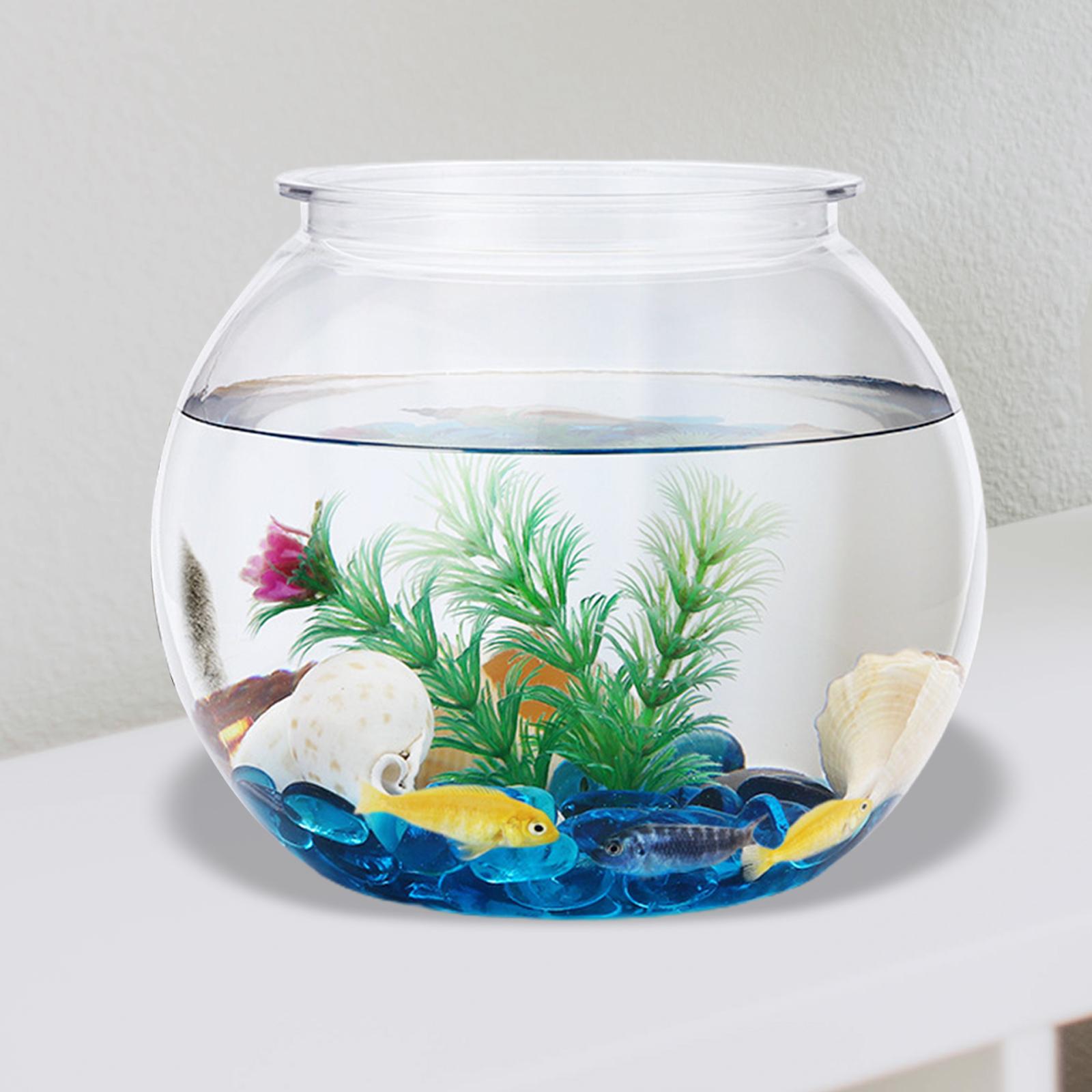Transparent Small Fish Tank De - Planted Aquarium Bowl recension och pris