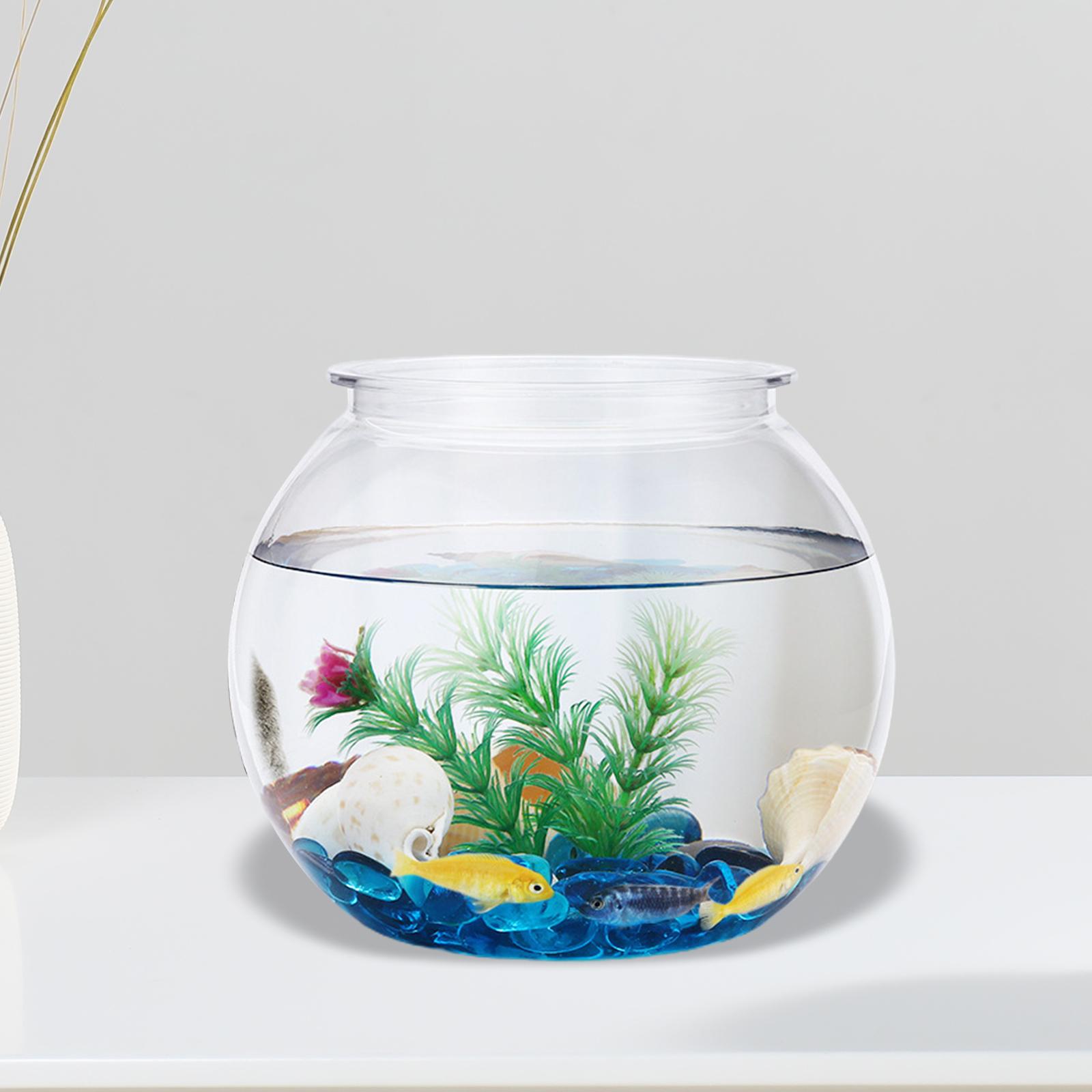 Transparent Small Fish Tank De - Planted Aquarium Bowl recension och pris