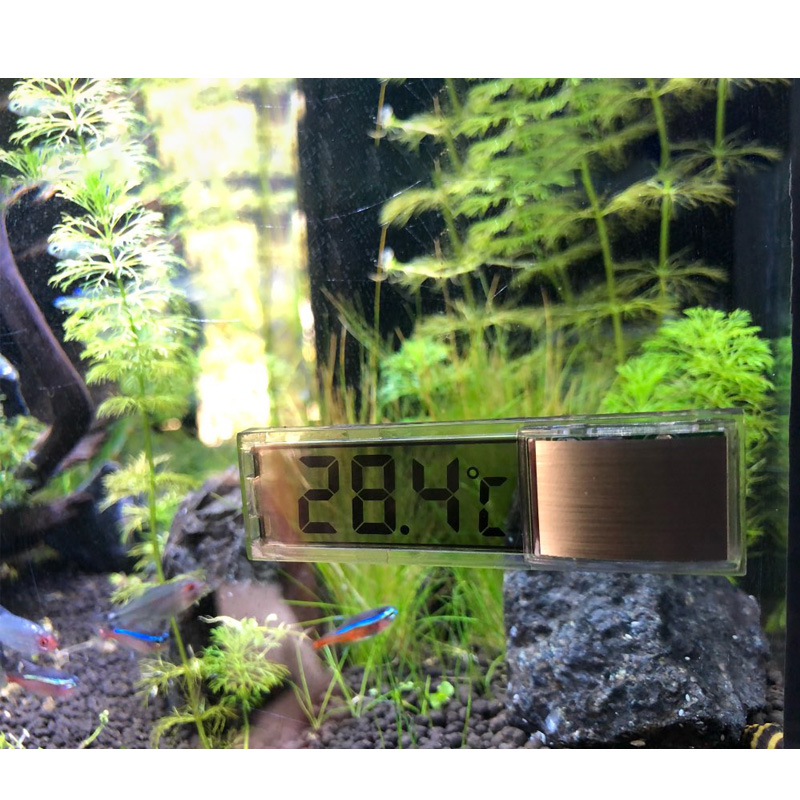 Waterproof Aquarium Thermomete - Aquarium Planted Seeds recension och pris