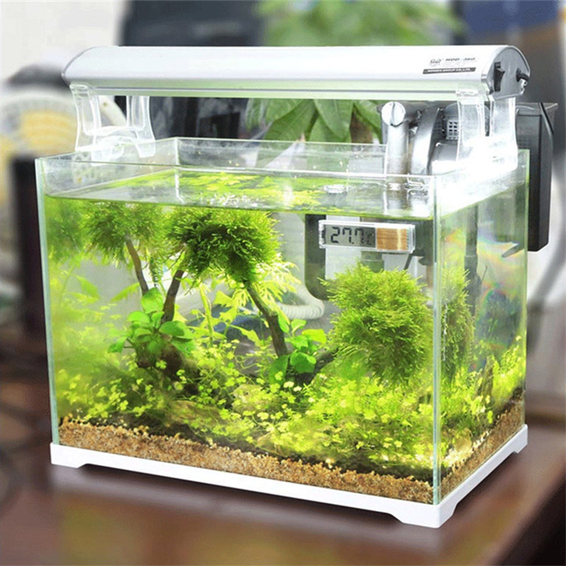 Waterproof Aquarium Thermomete - Aquarium Planted Seeds recension och pris