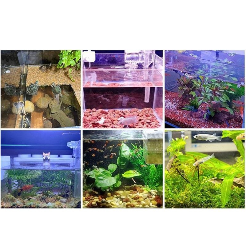 Small Aquarium Fish Bowl LED L - Planted Aquarium Bowl recension och pris