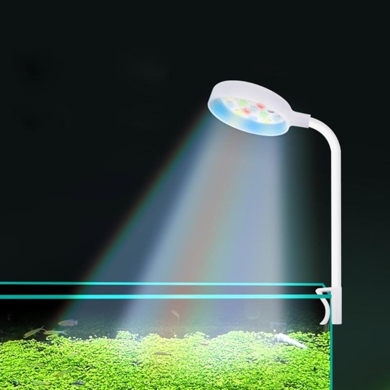 Small Aquarium Fish Bowl LED L - Planted Aquarium Bowl recension och pris