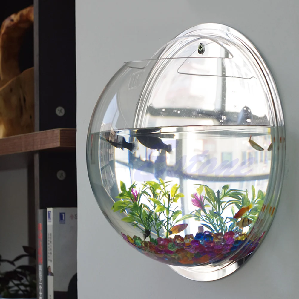 Wall Mounted Acrylic Fish Bowl - Planted Aquarium Bowl recension och pris