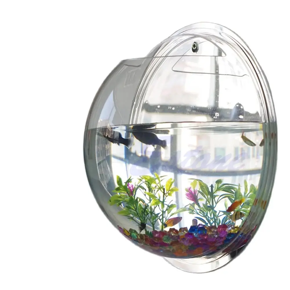 Wall Mounted Acrylic Fish Bowl - Planted Aquarium Bowl recension och pris