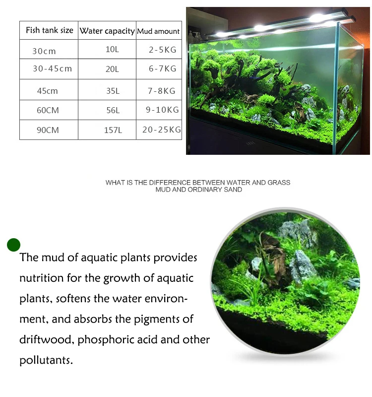 Fish Tank Water Grass Mud Plan - Aquarium Planted Seeds recension och pris