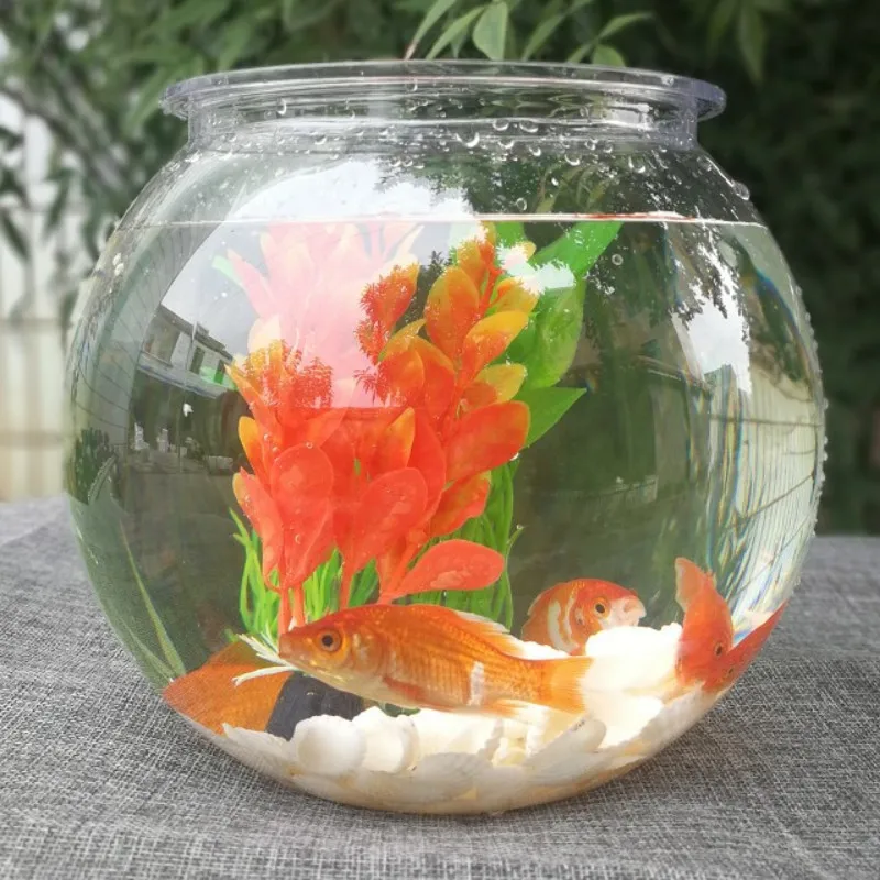 Goldfish bowl desktop transpar - Planted Aquarium Bowl recension och pris