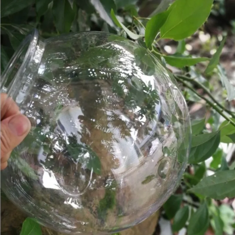 Goldfish bowl desktop transpar - Planted Aquarium Bowl recension och pris