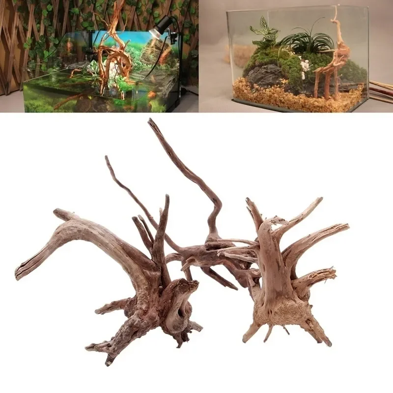 Natural Tree Trunk Driftwood A - Planted Aquarium With Driftwood recension och pris