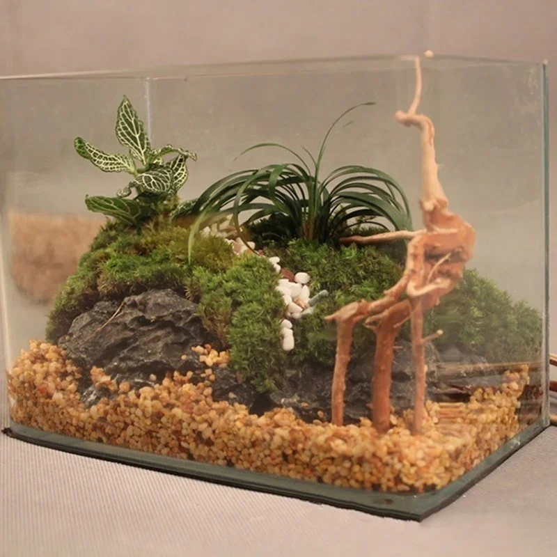 Natural Tree Trunk Driftwood A - Planted Aquarium With Driftwood recension och pris