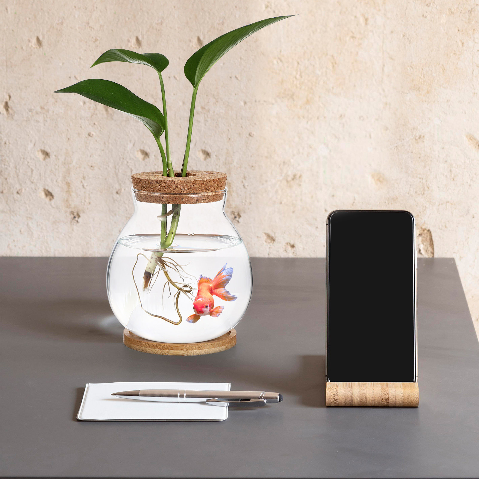 Desktop Glass Fish Bowl Small  - Planted Aquarium Bowl recension och pris
