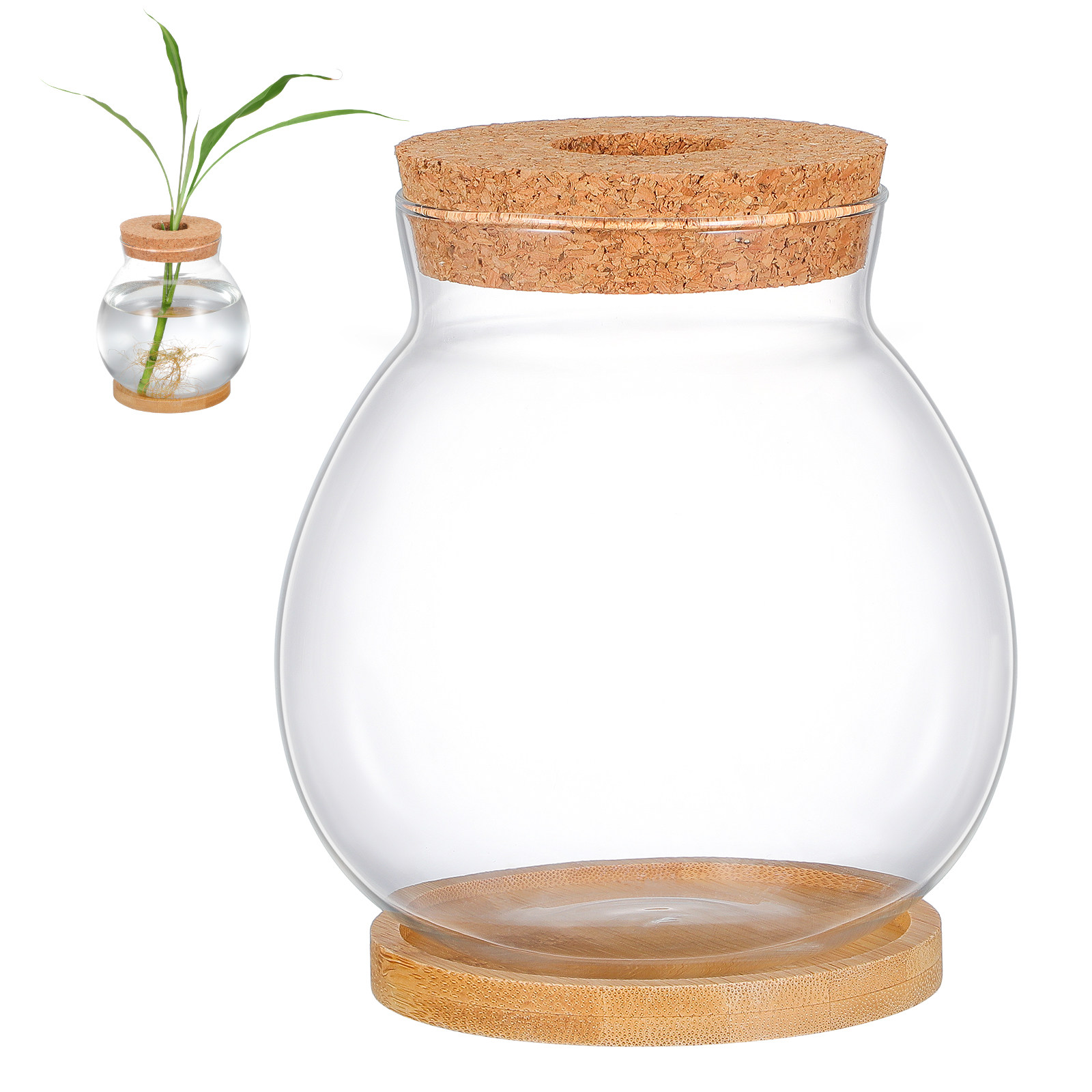 Desktop Glass Fish Bowl Small  - Planted Aquarium Bowl recension och pris