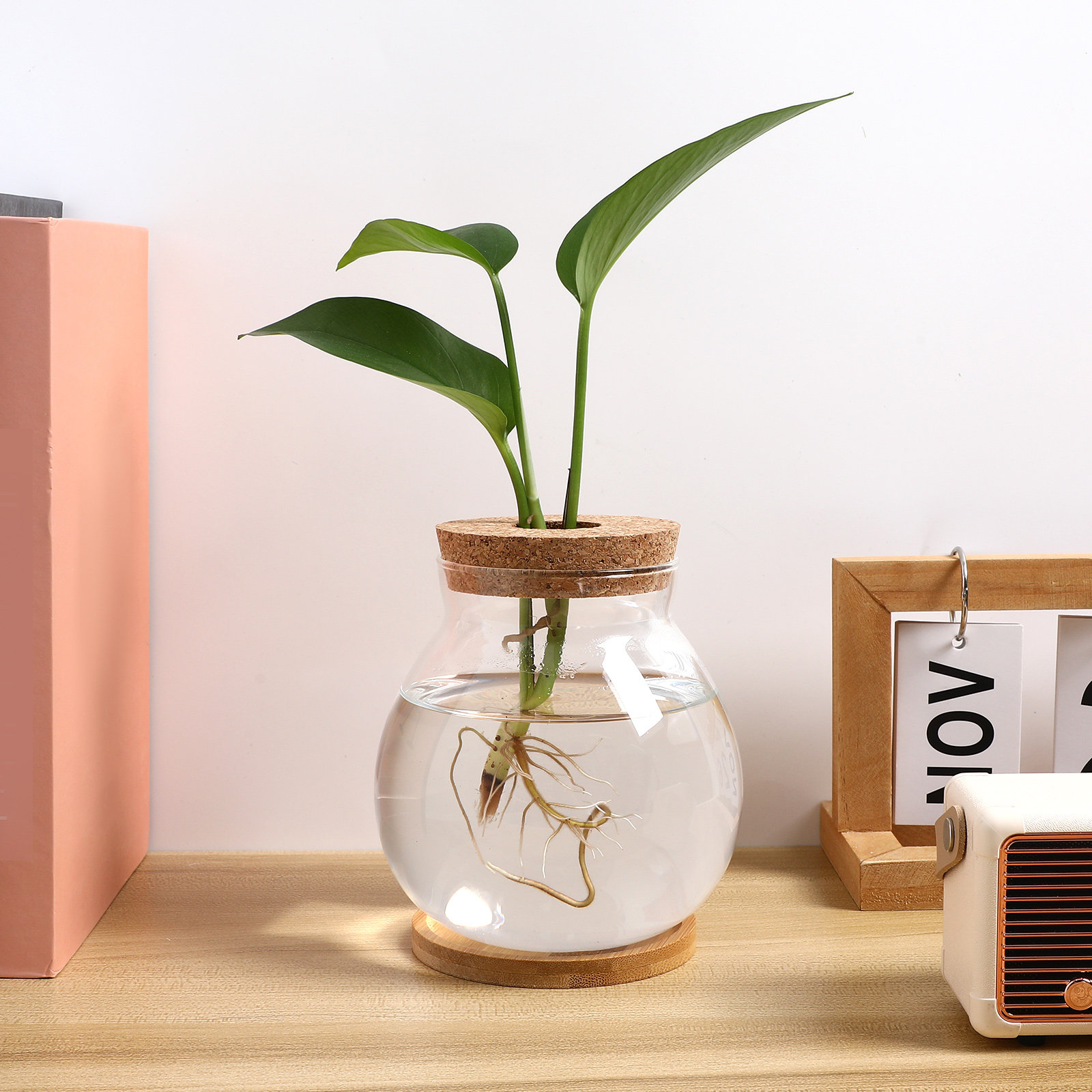 Desktop Glass Fish Bowl Small  - Planted Aquarium Bowl recension och pris