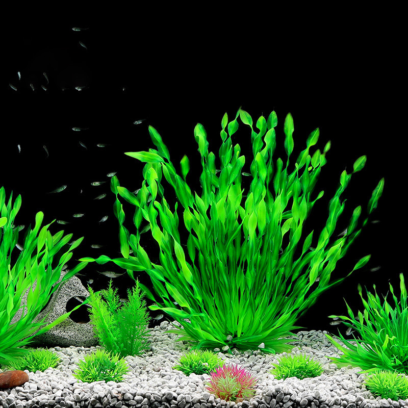 13/23/32/36/40cm Aquarium Arti - Aquarium Planted Seeds recension och pris