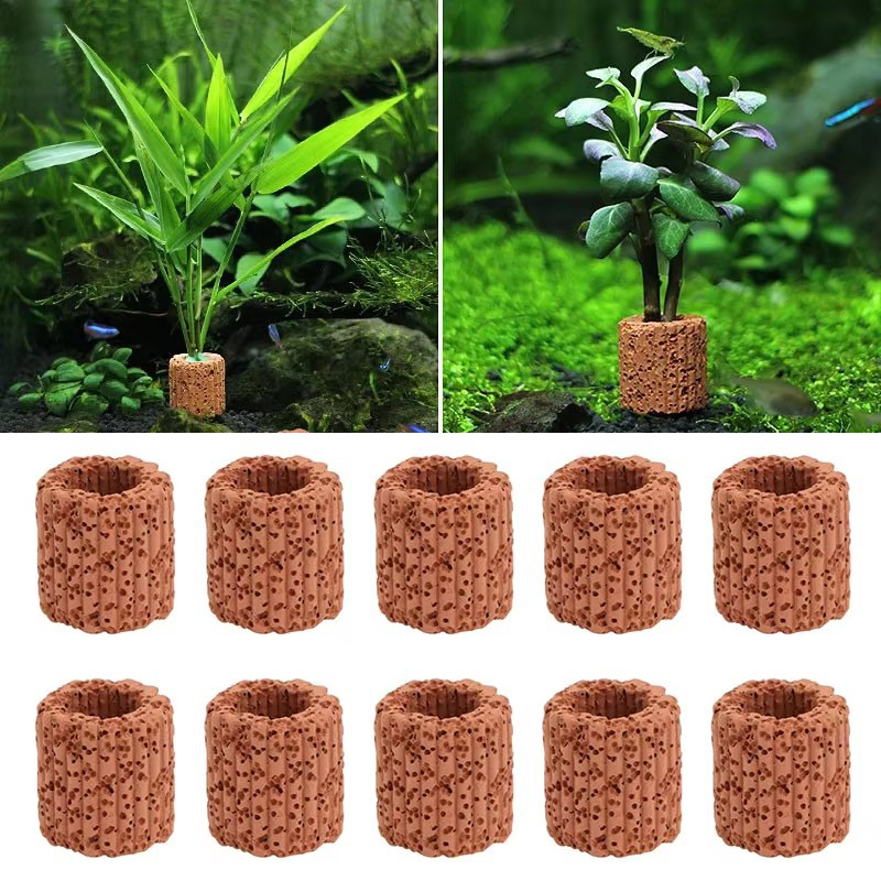 Aquatic Plant Fixed Ring for A - Aquarium Planted Seeds recension och pris