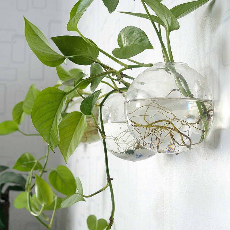 Wall Hanging Acrylic Fish Bowl - Planted Aquarium Bowl recension och pris