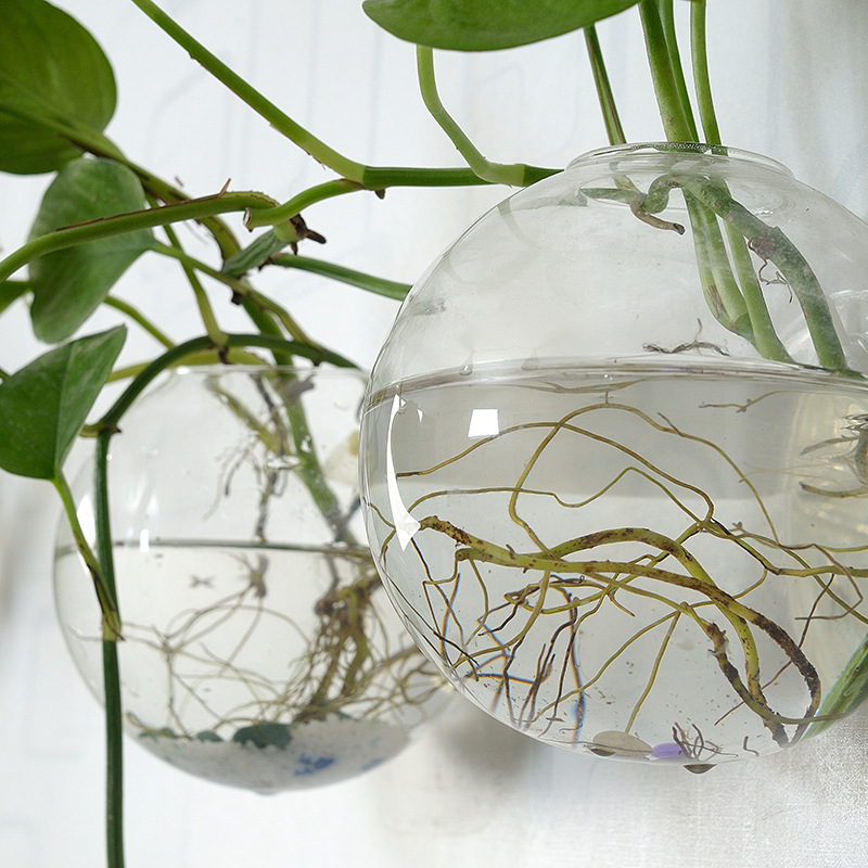 Wall Hanging Acrylic Fish Bowl - Planted Aquarium Bowl recension och pris