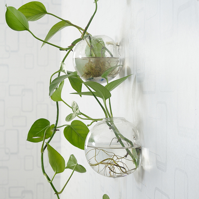Wall Hanging Acrylic Fish Bowl - Planted Aquarium Bowl recension och pris