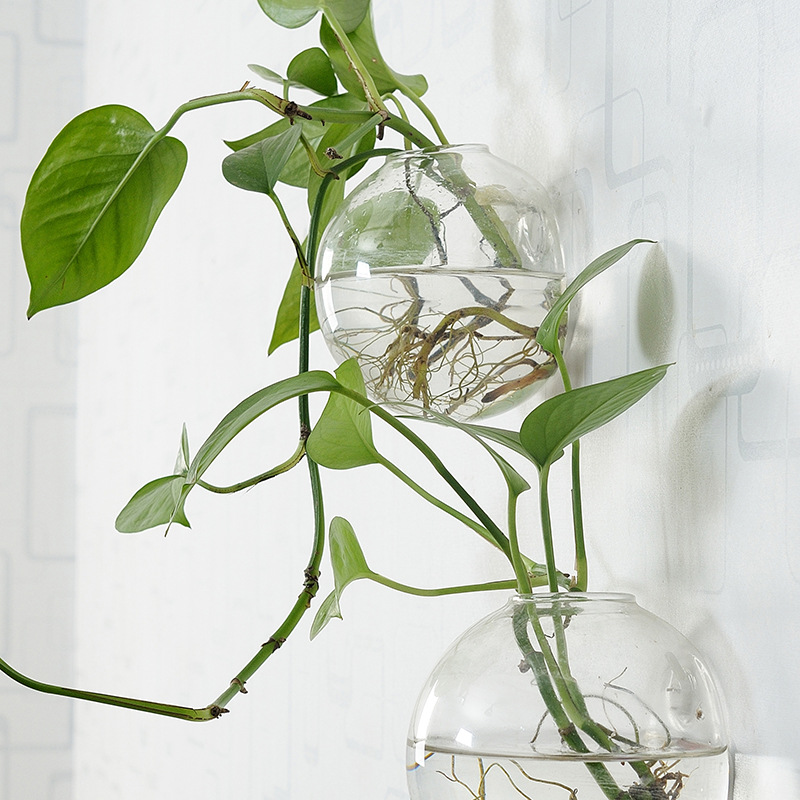 Wall Hanging Acrylic Fish Bowl - Planted Aquarium Bowl recension och pris