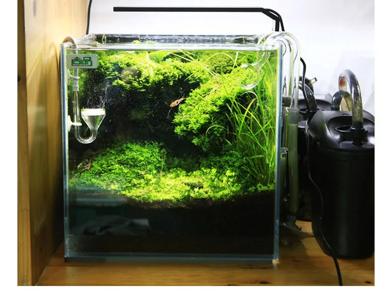 Chihiros C Series ADA Style Pl - Aquarium Plant Diseases recension och pris