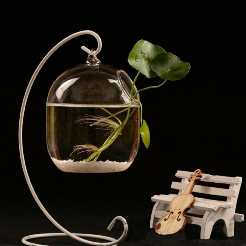 62KD Suspended Transparent Han - Planted Aquarium Bowl recension och pris
