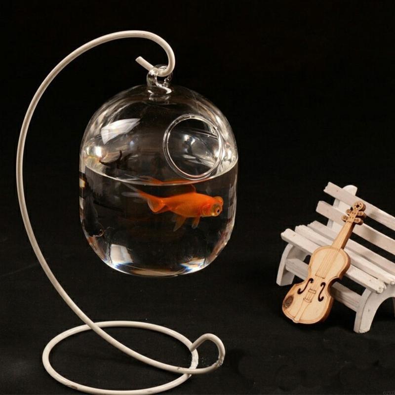 62KD Suspended Transparent Han - Planted Aquarium Bowl recension och pris