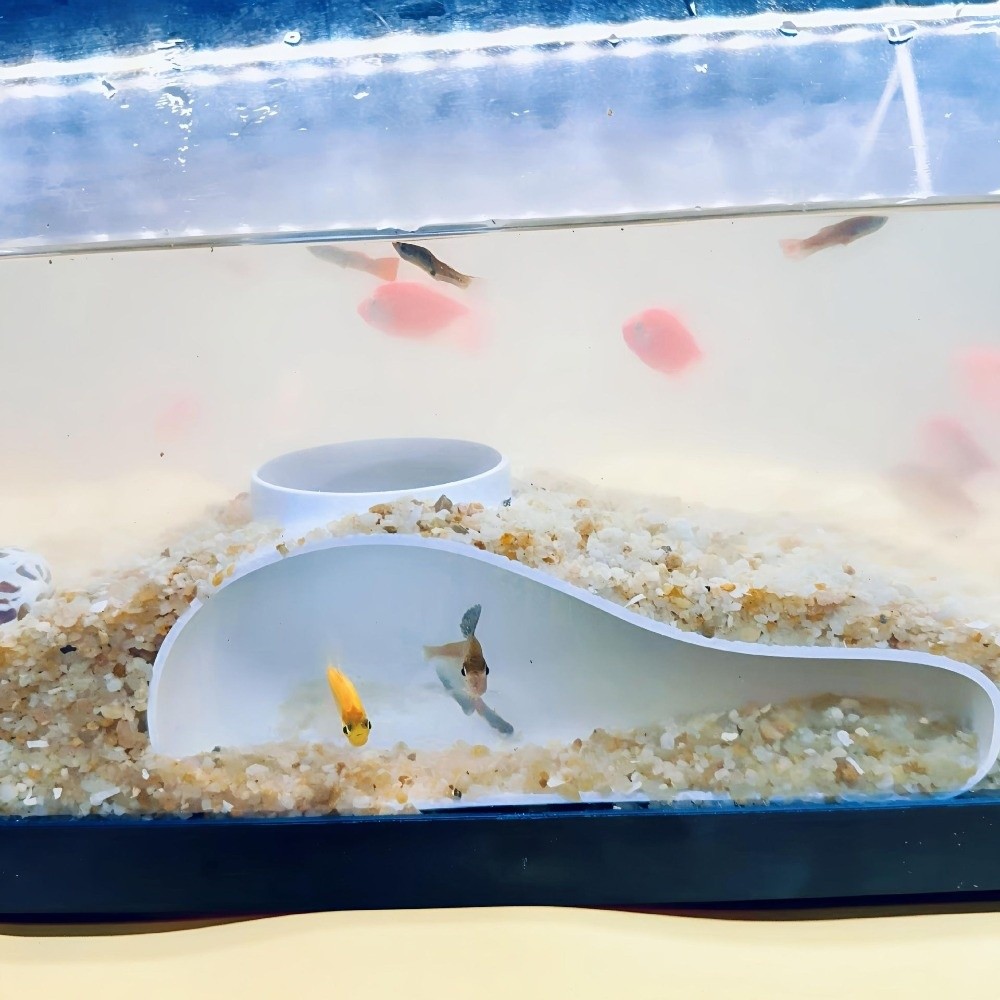 3D Printing Aquarium Tunnel Ca - Aquarium Planted Seeds recension och pris