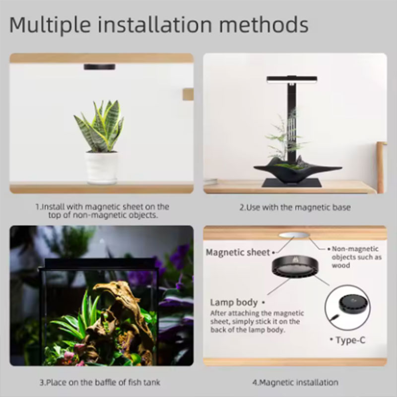 WEEK AQUA Mag Pro Mag Max Nano - Aquarium Plant Diseases recension och pris