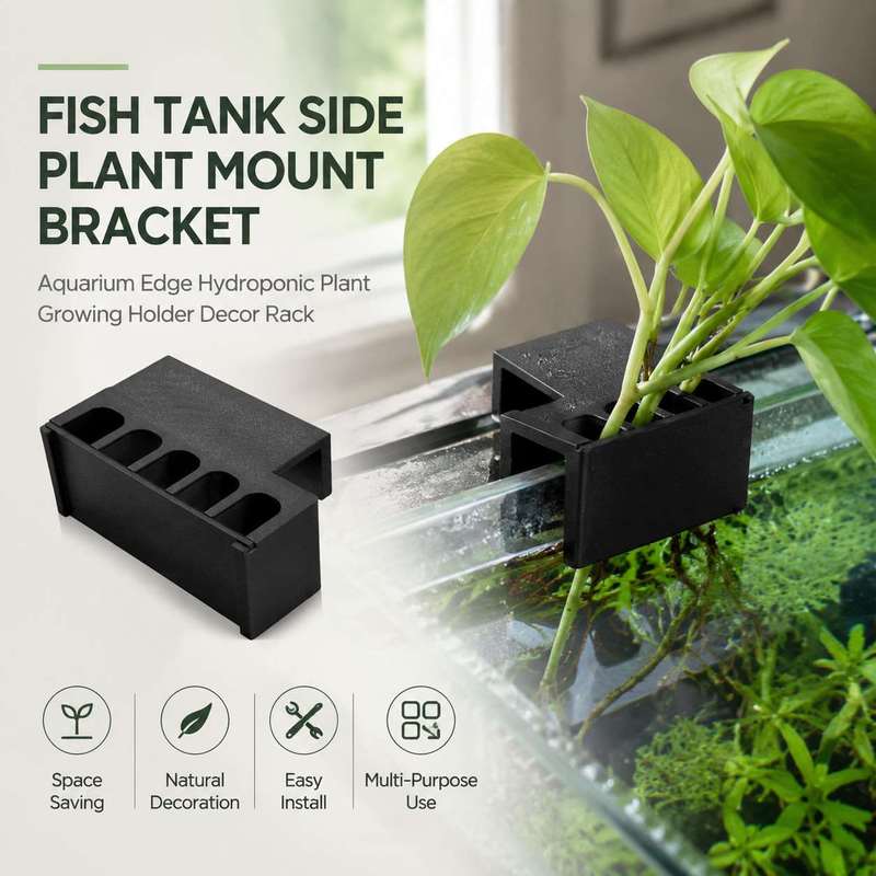 Fish Tank Side Plant Mount Bra - Aquarium Plant Diseases recension och pris