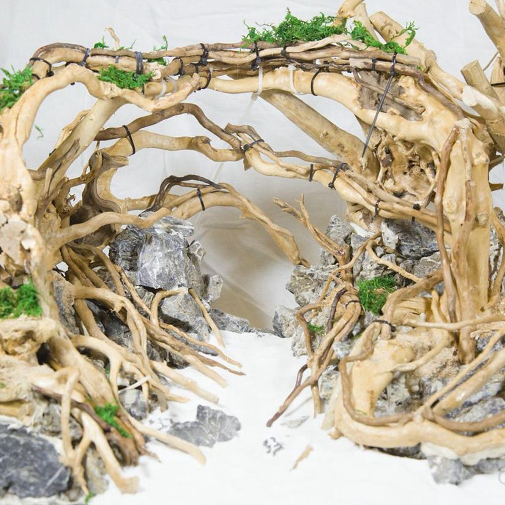1 Pcs Wood Reptile Fish Tank O - Planted Aquarium With Driftwood recension och pris
