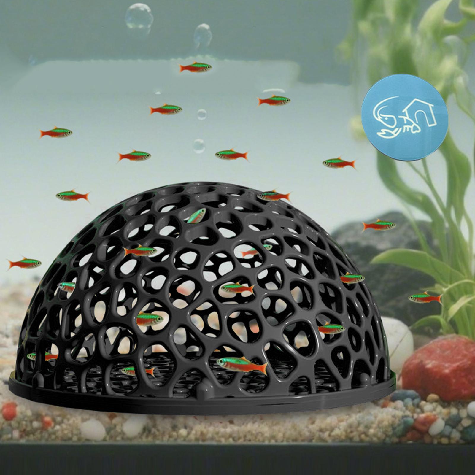 Shrimp Breeding Cave fish tank - Aquarium Planted Seeds recension och pris