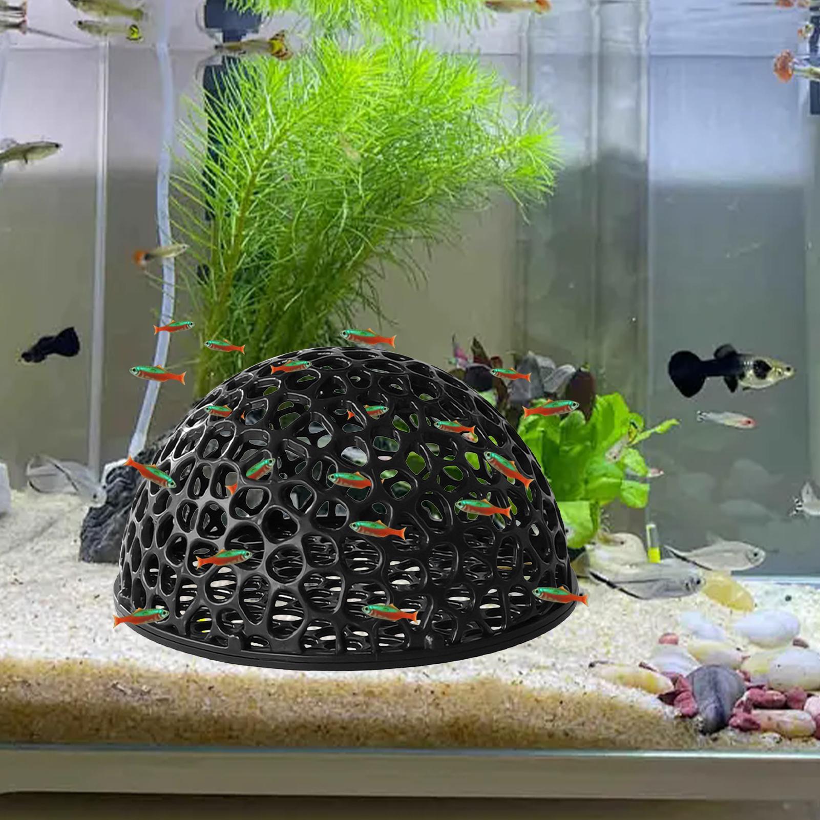 Shrimp Breeding Cave fish tank - Aquarium Planted Seeds recension och pris