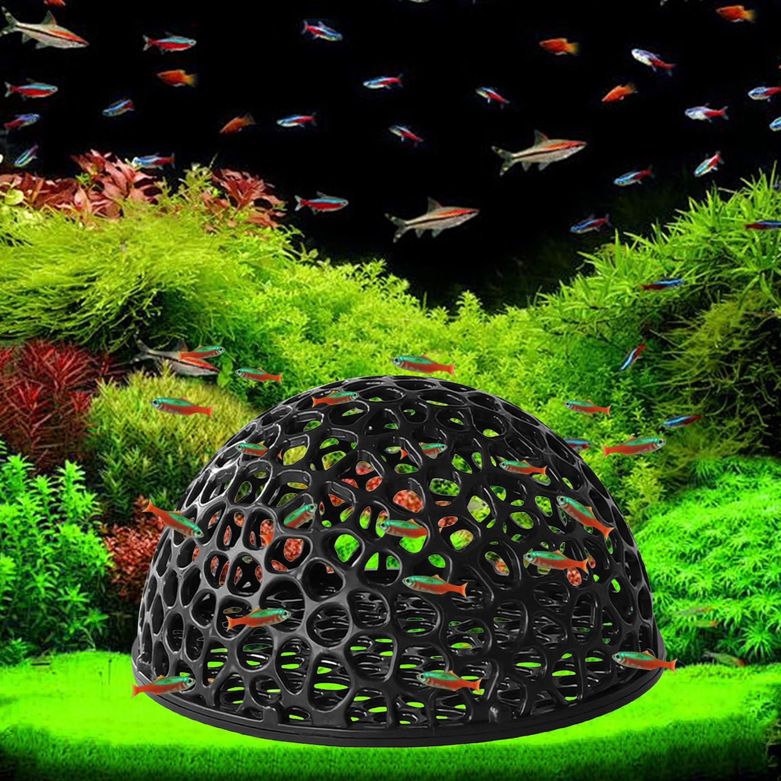 Shrimp Breeding Cave fish tank - Aquarium Planted Seeds recension och pris