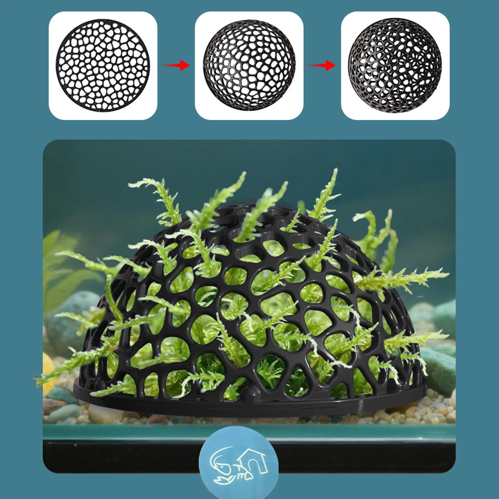 Shrimp Breeding Cave fish tank - Aquarium Planted Seeds recension och pris