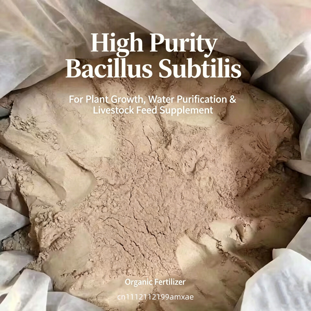 High Activity Bacillus Subtili - Aquarium Plant Diseases recension och pris