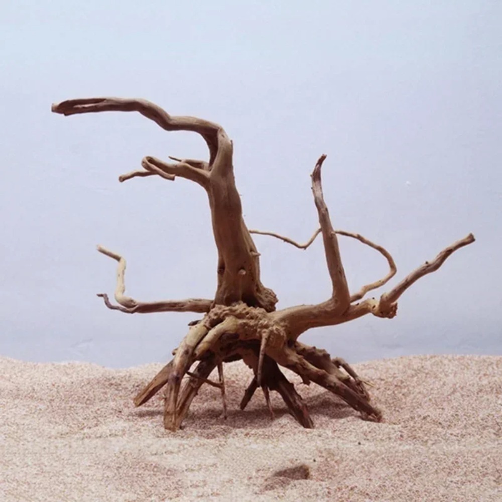 Natural Tree Trunk Driftwood A - Planted Aquarium With Driftwood recension och pris