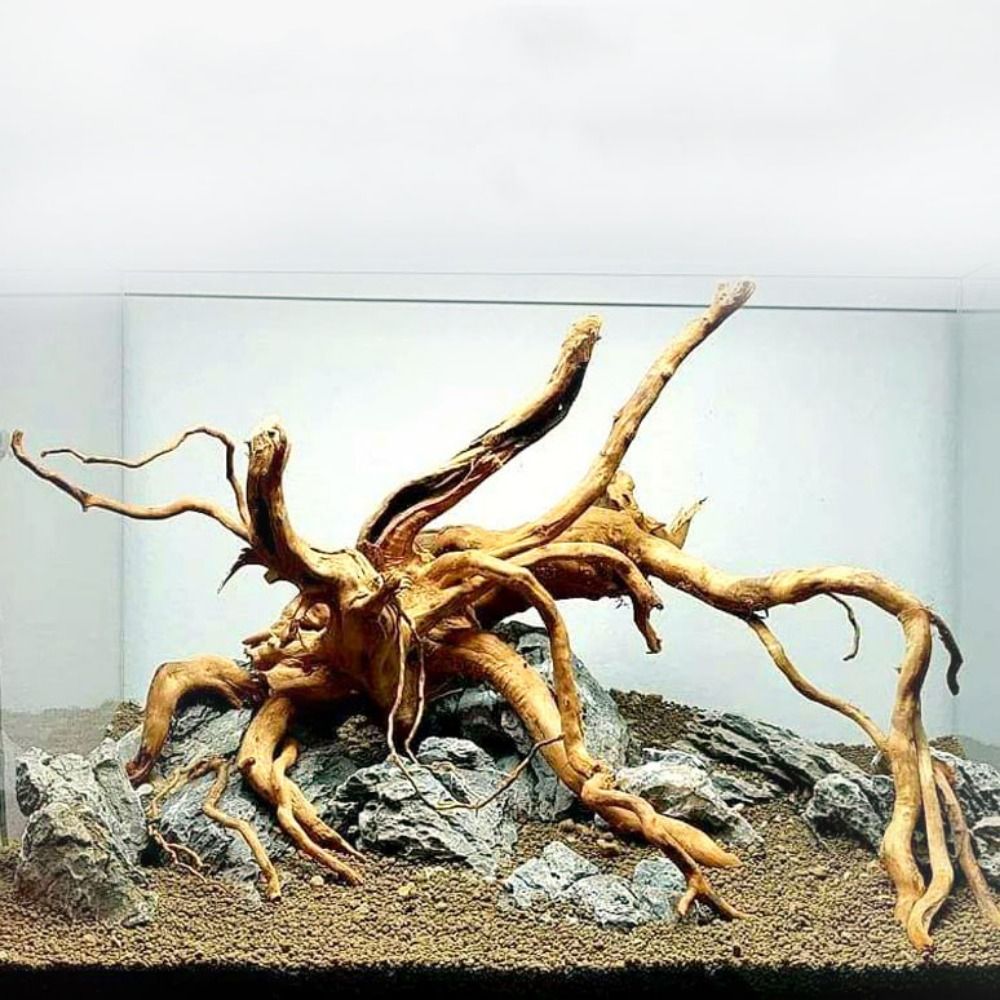 20-25CM Large Aquarium Driftwo - Planted Aquarium With Driftwood recension och pris