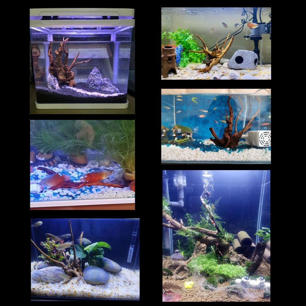 20-25CM Large Aquarium Driftwo - Planted Aquarium With Driftwood recension och pris