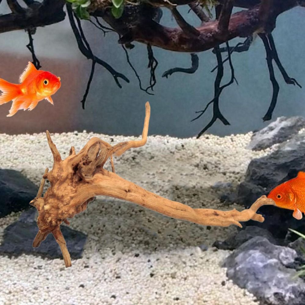 20-25CM Large Aquarium Driftwo - Planted Aquarium With Driftwood recension och pris