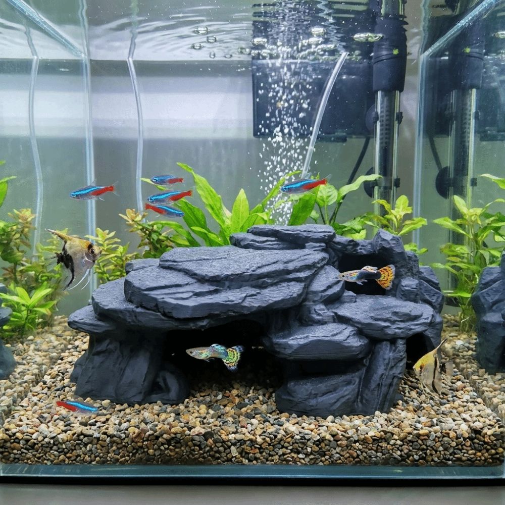 3D Printing Fish Tank Rockery  - Aquarium Planted Seeds recension och pris