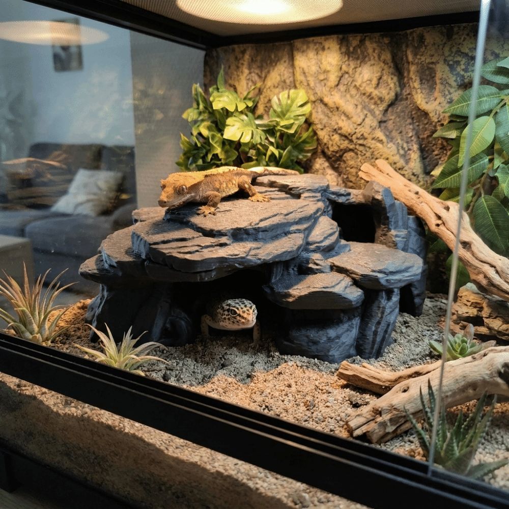 3D Printing Fish Tank Rockery  - Aquarium Planted Seeds recension och pris
