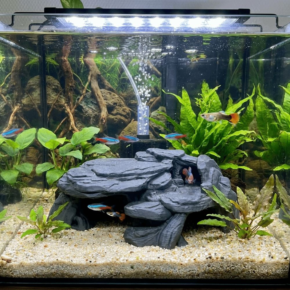 3D Printing Fish Tank Rockery  - Aquarium Planted Seeds recension och pris