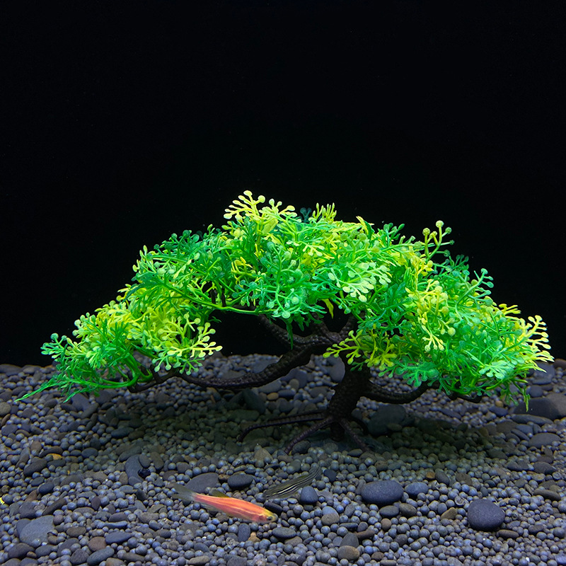 Aquarium bonsai tree, plant, f - Aquarium Planted Seeds recension och pris
