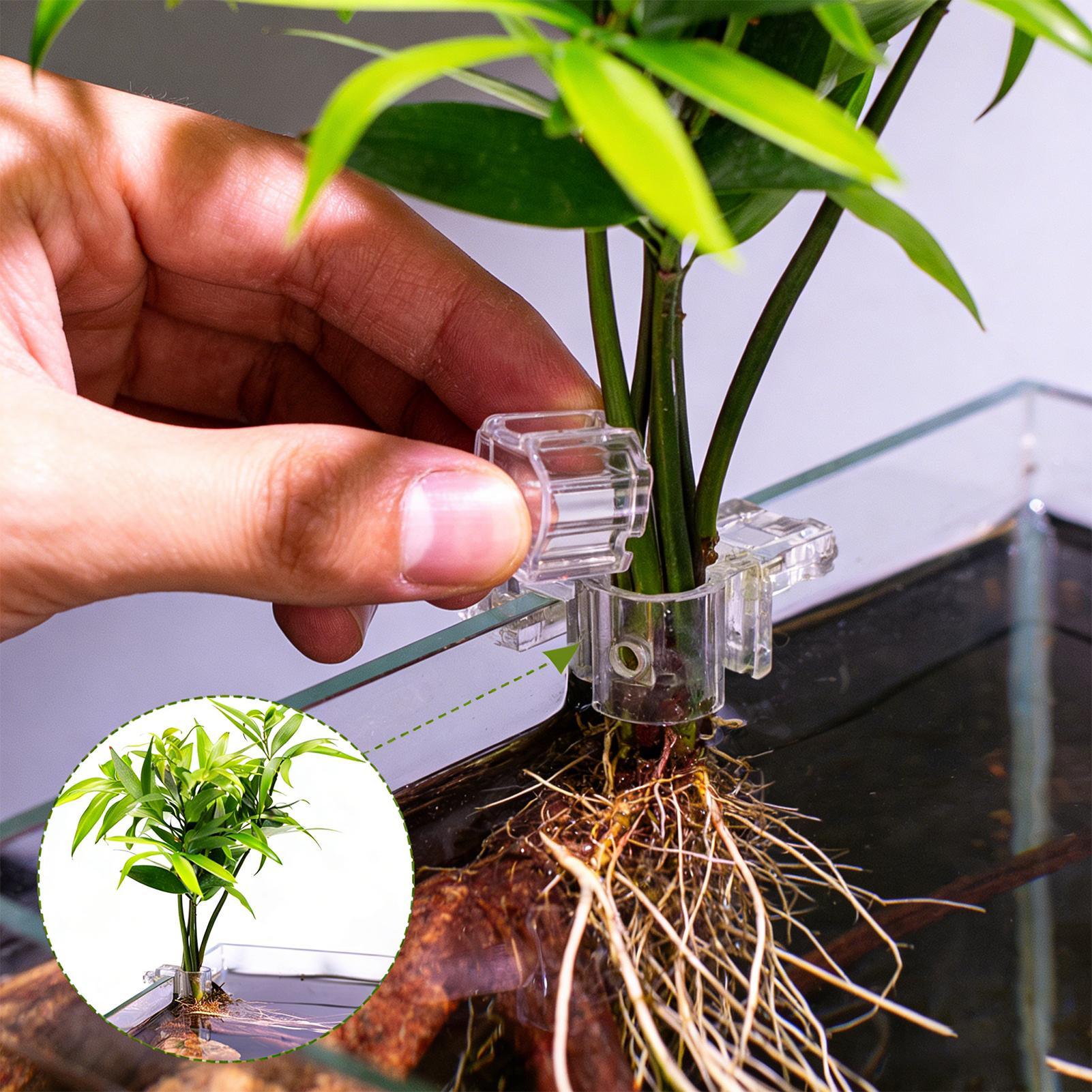 6pcs Aquarium Plant Holders Cl - Aquarium Plant Diseases recension och pris
