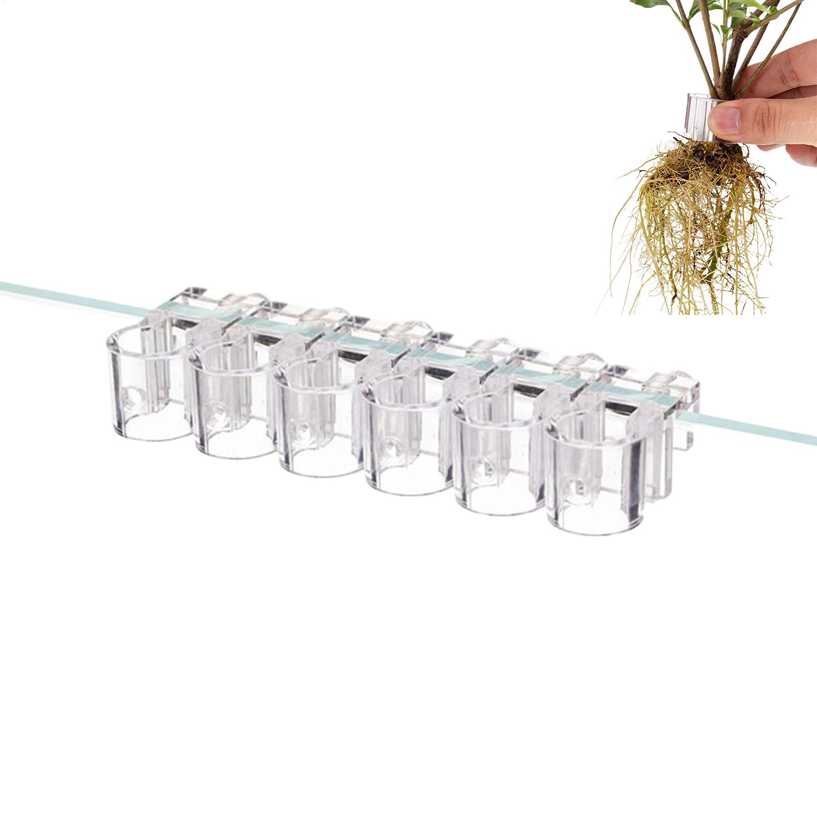 Plant Holder For Aquarium 6 Pi - Aquarium Plant Diseases recension och pris