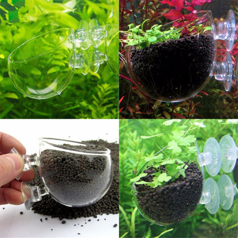 Aquarium Hanging Plant Pot Gla - Aquarium Planted Seeds recension och pris