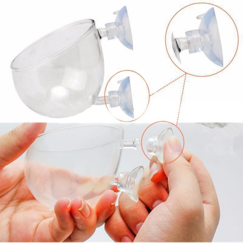 Aquarium Hanging Plant Pot Gla - Aquarium Planted Seeds recension och pris