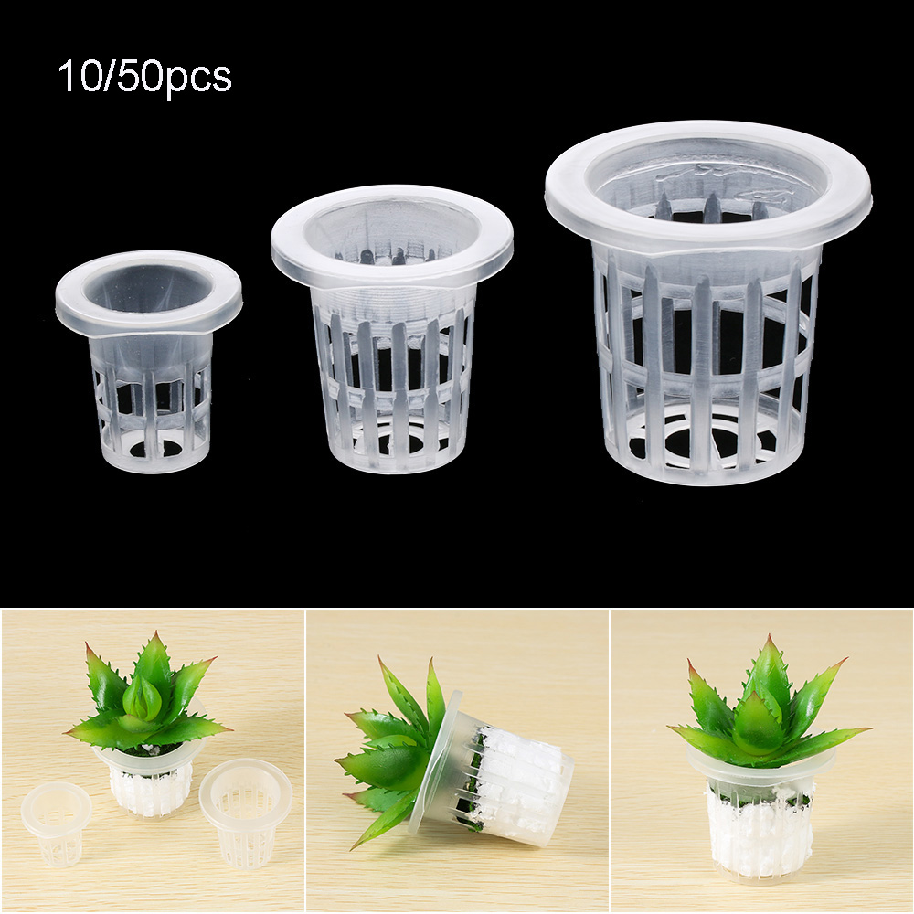 10/50pcs Durable Planting Aqua - Aquarium Planted Seeds recension och pris