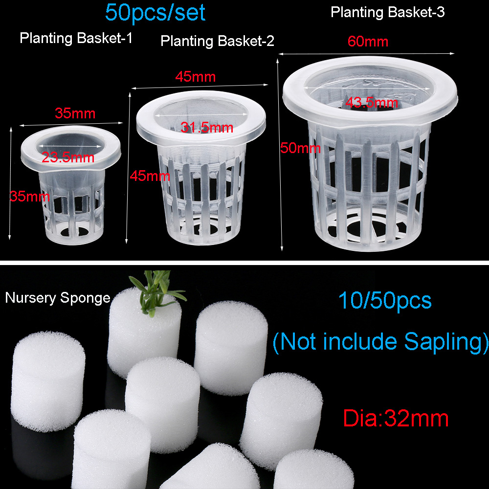 10/50pcs Durable Planting Aqua - Aquarium Planted Seeds recension och pris